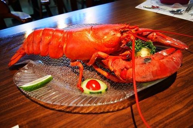 安可喬治-LIVE北大西洋龍蝦  Live Atlantic Lobster           	